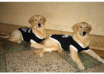 Clinic photo/Office of Dr. BIRD ANIMAL HEALTHCARE