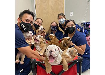 Clinic photo/Office of Dr. BLUE CROSS PET CLINIC