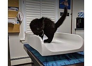 Clinic photo/Office of Dr. BLUE SKY ANIMAL HOSPITAL