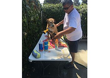 Clinic photo/Office of Dr. BLUEPEARL PET HOSPITAL