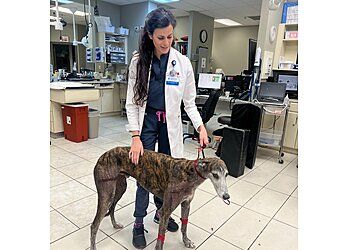 Clinic photo/Office of Dr. BLUEPEARL PET HOSPITAL