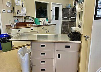 Clinic photo/Office of Dr. BRACEBRIDGE ANIMAL HOSPITAL