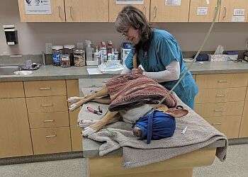 Clinic photo/Office of Dr. BREADNER VETERINARY SERVICES