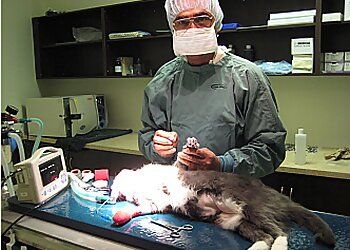 Clinic photo/Office of Dr. BROADWAY ANIMAL HOSPITAL