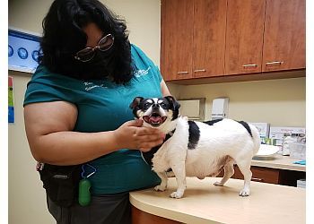 Clinic photo/Office of Dr. BRONX VETERINARY CENTER