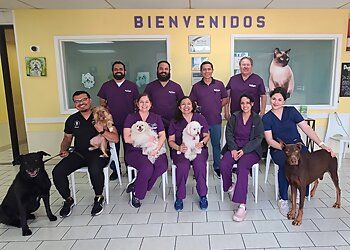 Clinic photo/Office of Dr. BROWNSVILLE SPAY NEUTER CLINIC