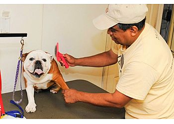 Clinic photo/Office of Dr. BULL’S HEAD PET HOSPITAL