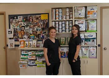 Clinic photo/Office of Dr. CADILLAC VET CLINIC