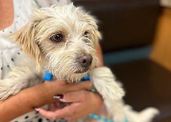 Clinic photo/Office of Dr. CAMINO AL NORTE ANIMAL HOSPITAL
