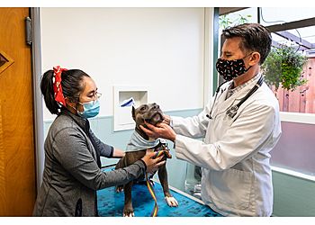 Clinic photo/Office of Dr. CAMPUS VETERINARY CLINIC