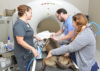 Clinic photo/Office of Dr. CARE CENTER CINCINNATI