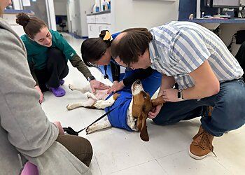 Clinic photo/Office of Dr. CARING HANDS ANIMAL HOSPITAL