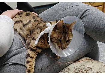 Clinic photo/Office of Dr. CEDARWOOD VETERINARY &amp; ANIMAL EMERGENCY HOSPITAL