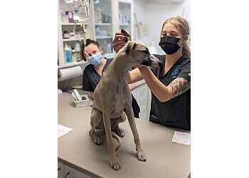 Clinic photo/Office of Dr. CENTRAL ANIMAL HOSPITAL