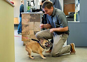 Clinic photo/Office of Dr. CENTRAL VETERINARY HOSPITAL