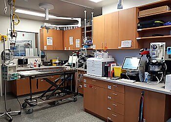 Clinic photo/Office of Dr. CENTRAL VICTORIA VETERINARY HOSPITAL