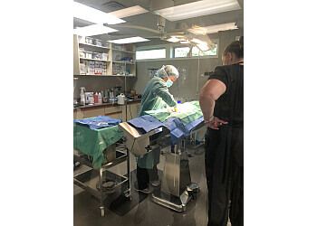 Clinic photo/Office of Dr. CHASE RIVER VETERINARY HOSPITAL