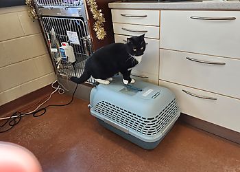 Clinic photo/Office of Dr. CHUV