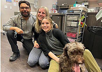 Clinic photo/Office of Dr. CITY CENTRE ANIMAL HOSPITAL