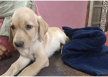 Clinic photo/Office of Dr. CITY PET CLINIC