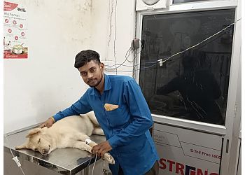 Clinic photo/Office of Dr. CITY PET CLINIC