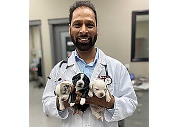 Clinic photo/Office of Dr. CITY VETERINARY HOSPITAL