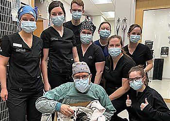 Clinic photo/Office of Dr. CLINIQUE VÉTÉRINAIRE DOUVILLE