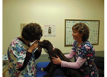 Clinic photo/Office of Dr. COLBORNE STREET PET HOSPITAL