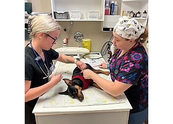 Clinic photo/Office of Dr. CORMAN PARK VET SERVICES