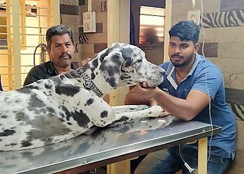 Clinic photo/Office of Dr. COTTON CITY PET’S POLY CLINIC