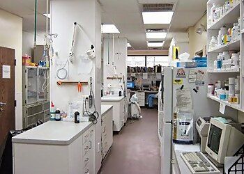 Clinic photo/Office of Dr. COUNTY ANIMAL CLINIC