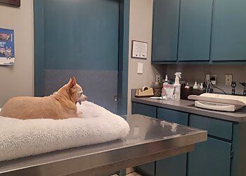 Clinic photo/Office of Dr. CREATURE COMFORT ANIMAL CLINIC