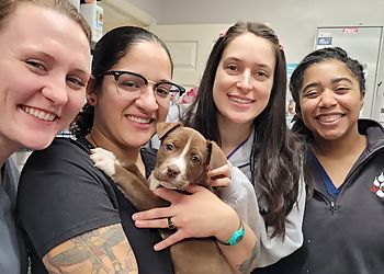 Clinic photo/Office of Dr. CROSS CREEK ANIMAL HOSPITAL