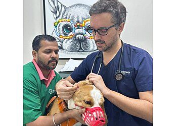 Clinic photo/Office of Dr. CROWN VET