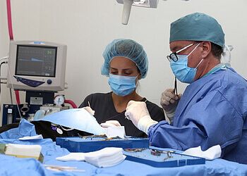 Clinic photo/Office of Dr. DARLINGTON VETERINARY HOSPITAL