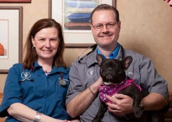 Clinic photo/Office of Dr. DESERT EAST ANIMAL HOSPITAL
