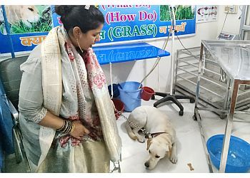 Clinic photo/Office of Dr. DEV DOG CARE CENTER