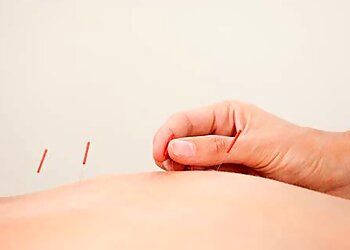 Clinic photo/Office of Dr. DIANNA PORTER ACUPUNCTURE