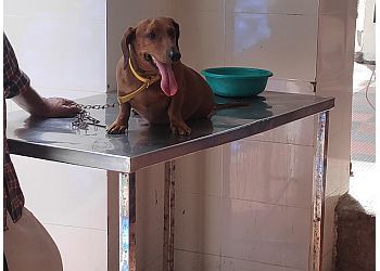 Clinic photo/Office of Dr. DISTRICT VETERINARY CENTRE