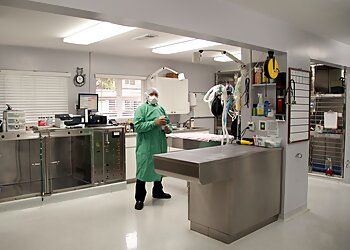 Clinic photo/Office of Dr. DIXIE ANIMAL HOSPITAL