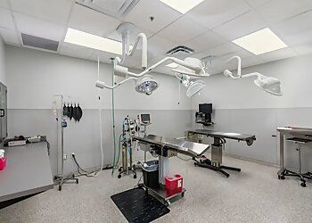 Clinic photo/Office of Dr. DODDRIDGE ANIMAL CLINIC