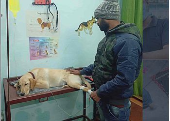 Clinic photo/Office of Dr. DOG &amp; VET