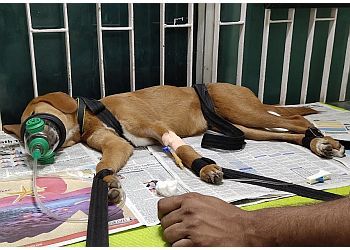 Clinic photo/Office of Dr. DOG AND CAT CLINIC