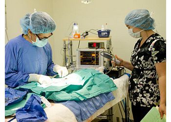 Clinic photo/Office of Dr. DOUGLAS BOULEVARD VETERINARY CLINIC