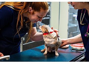 Clinic photo/Office of Dr. DOWLEN ROAD VETERINARY CENTER