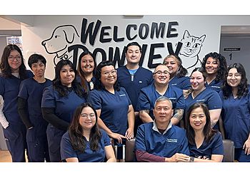 Clinic photo/Office of Dr. DOWNEY VETERINARY HOSPITAL