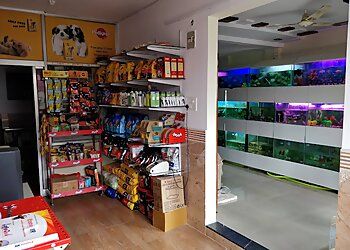 Clinic photo/Office of Dr. DR. AMOL SALANKAR'S DOG CLINIC