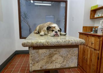 Clinic photo/Office of Dr. DR. BUTCHKO VETERINARY HOSPITAL