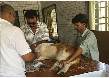 Clinic photo/Office of Dr. DR GUPTA'S PET CLINIC
