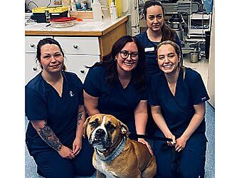 Clinic photo/Office of Dr. DUFFERIN VETERINARY HOSPITAL